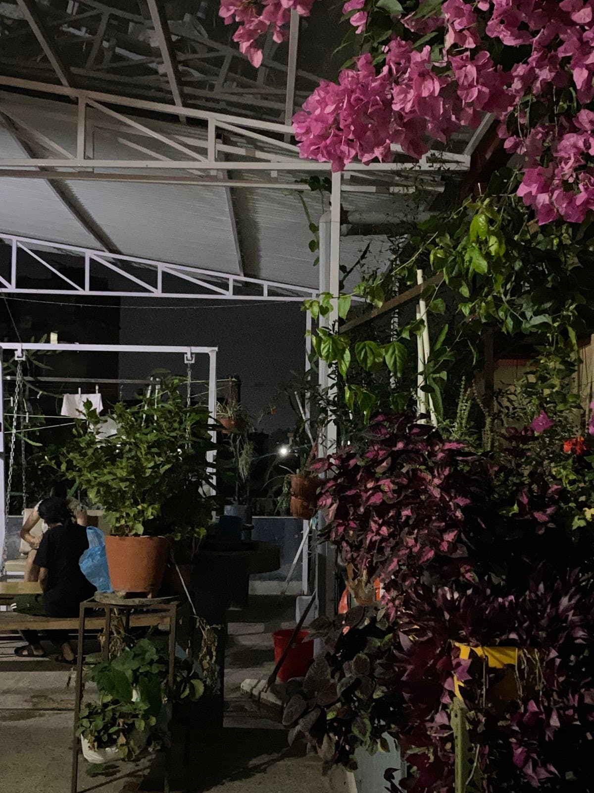 Blissful girls hostel 7