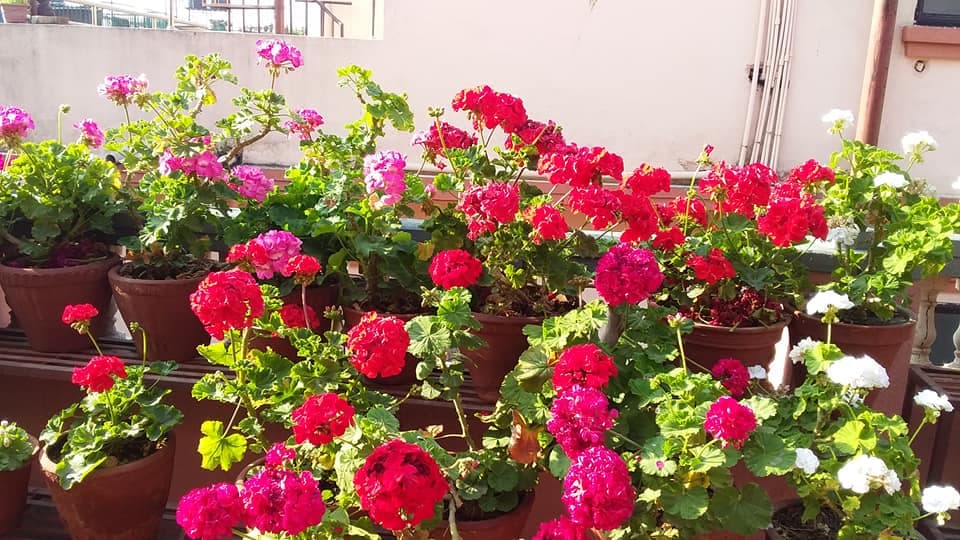 WE (Women Empowerment) Girls’ Hostel 9