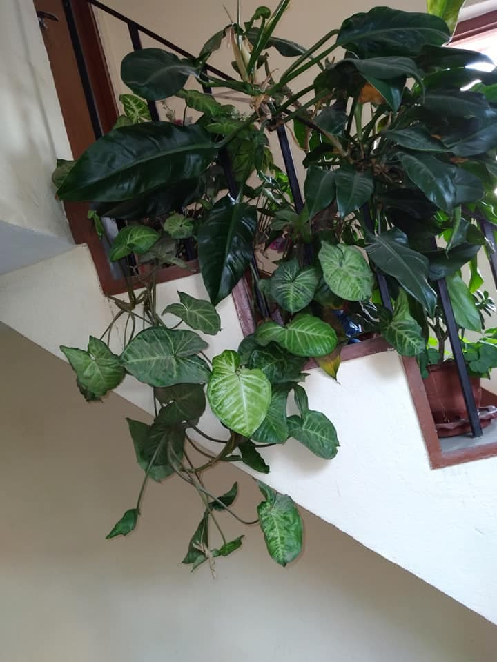 WE (Women Empowerment) Girls’ Hostel 10