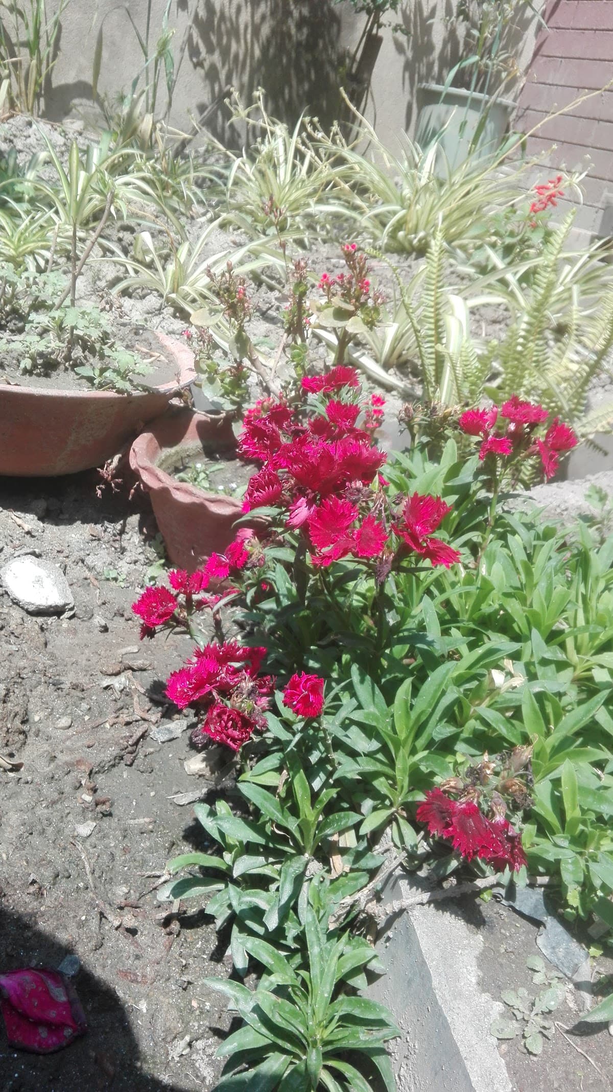 SuryaKiran Boys Hostel (At new House) 3