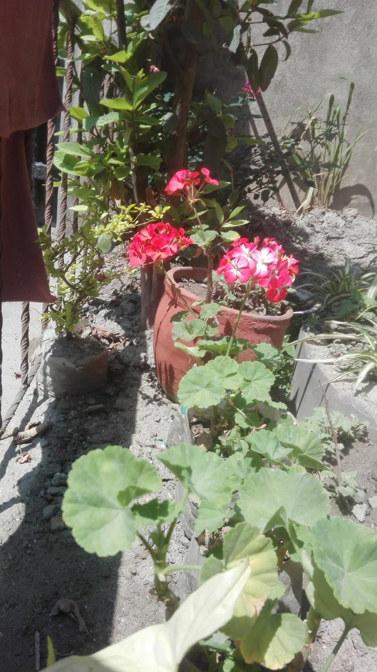 SuryaKiran Boys Hostel (At new House) 4