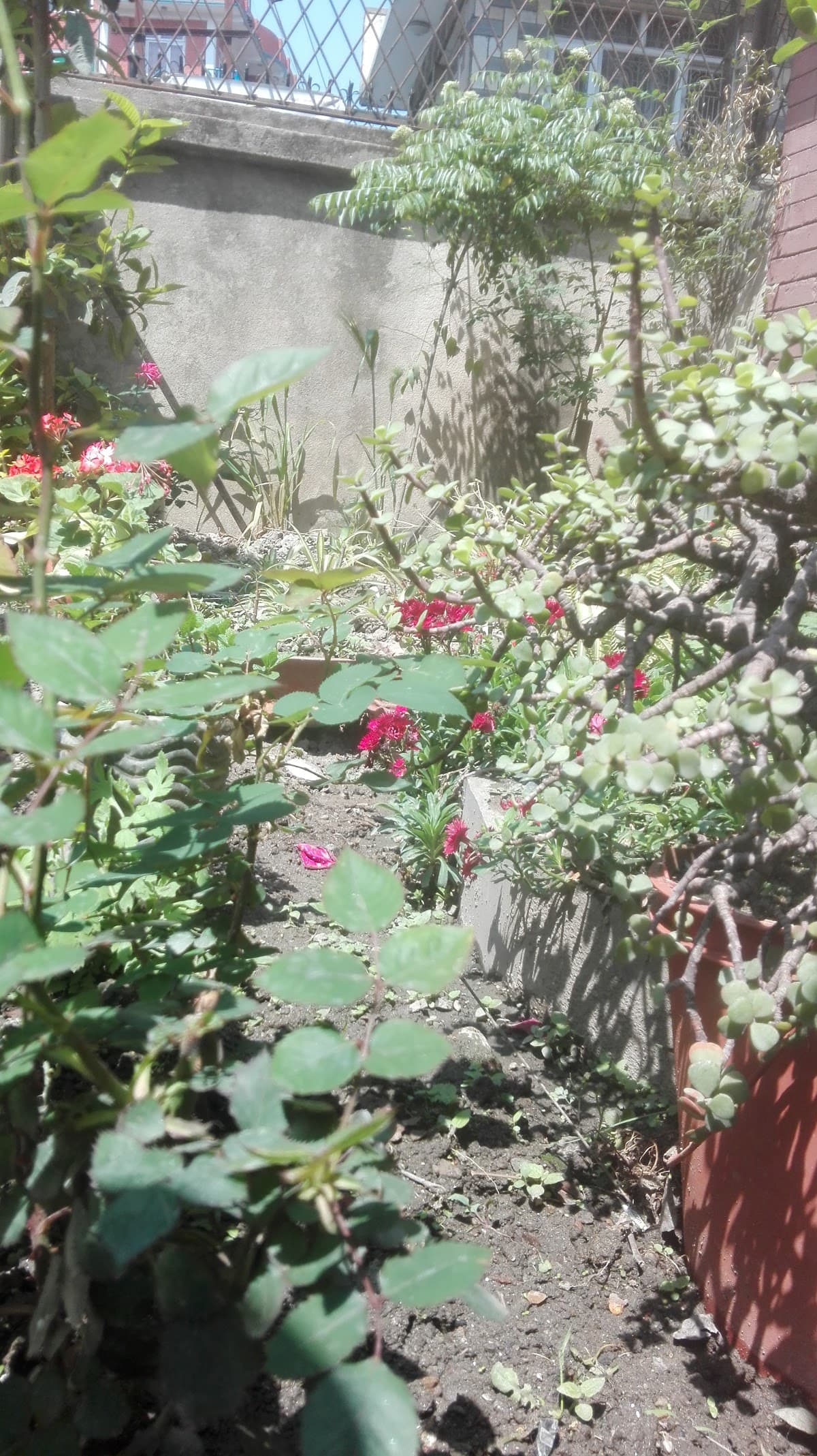 SuryaKiran Boys Hostel (At new House) 6