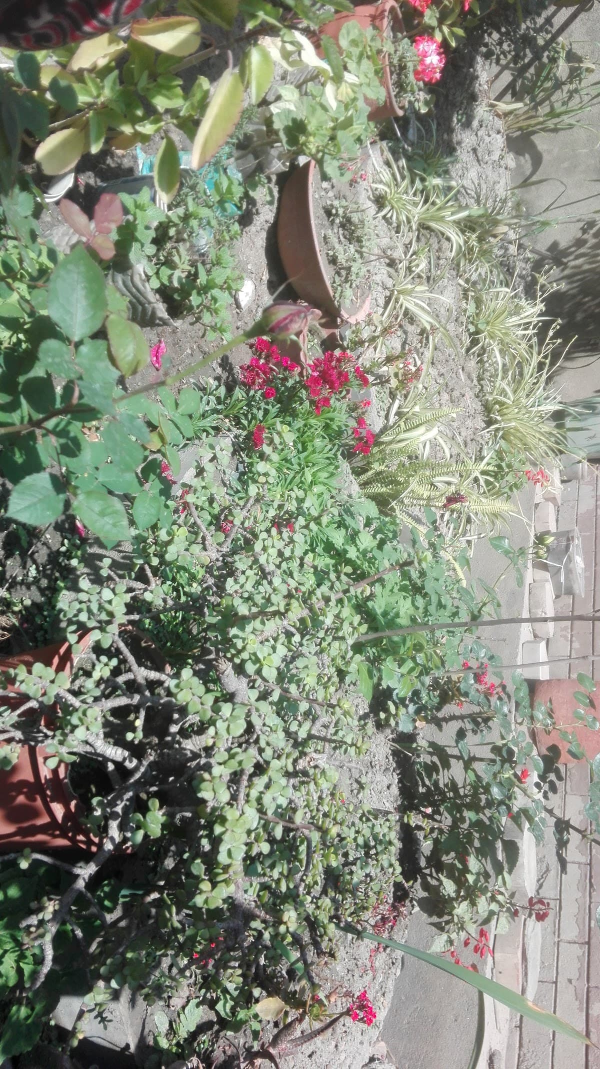 SuryaKiran Boys Hostel (At new House) 8