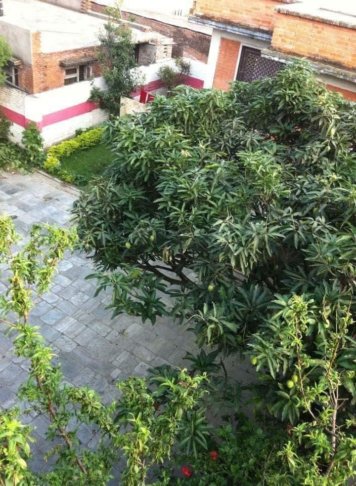 Kritika Girls Hostel