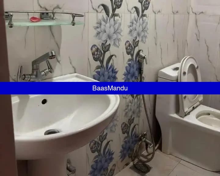 2bk flat on rent - 1