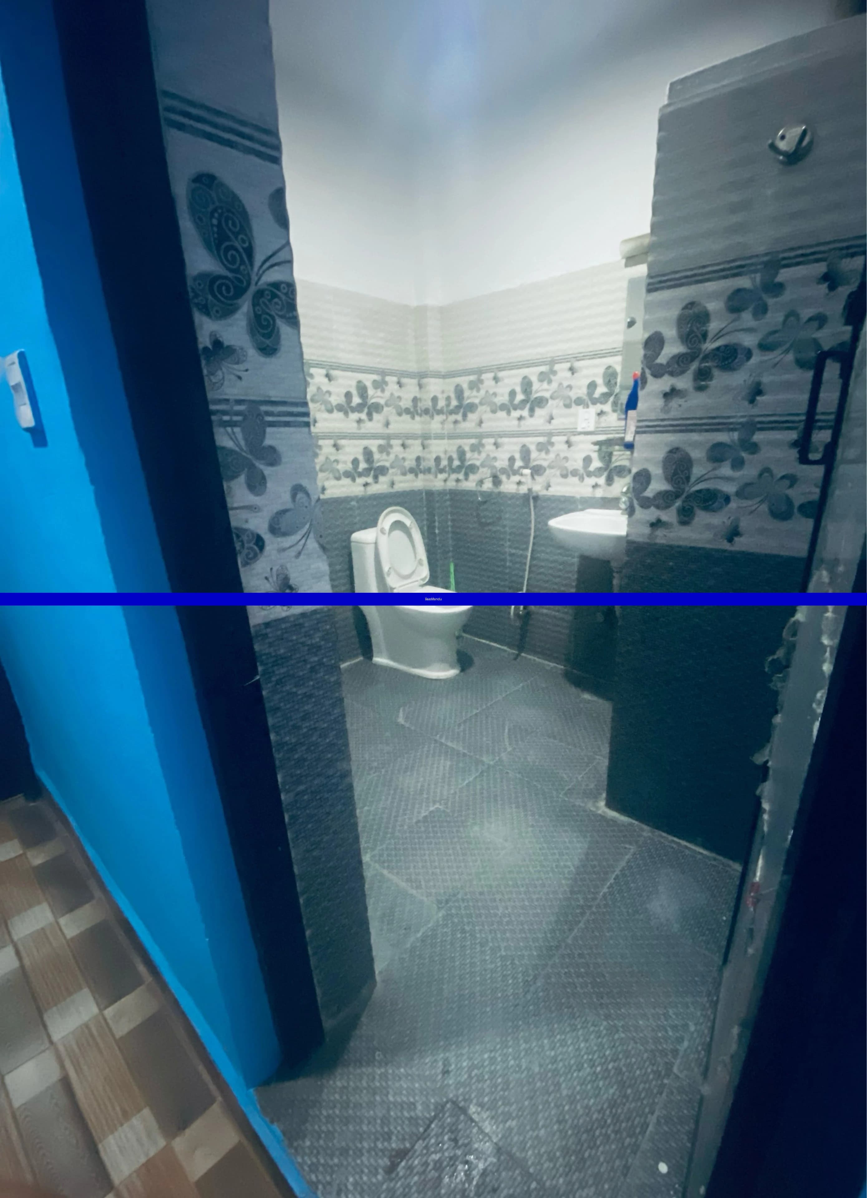 Flat on rent sanepa - 1